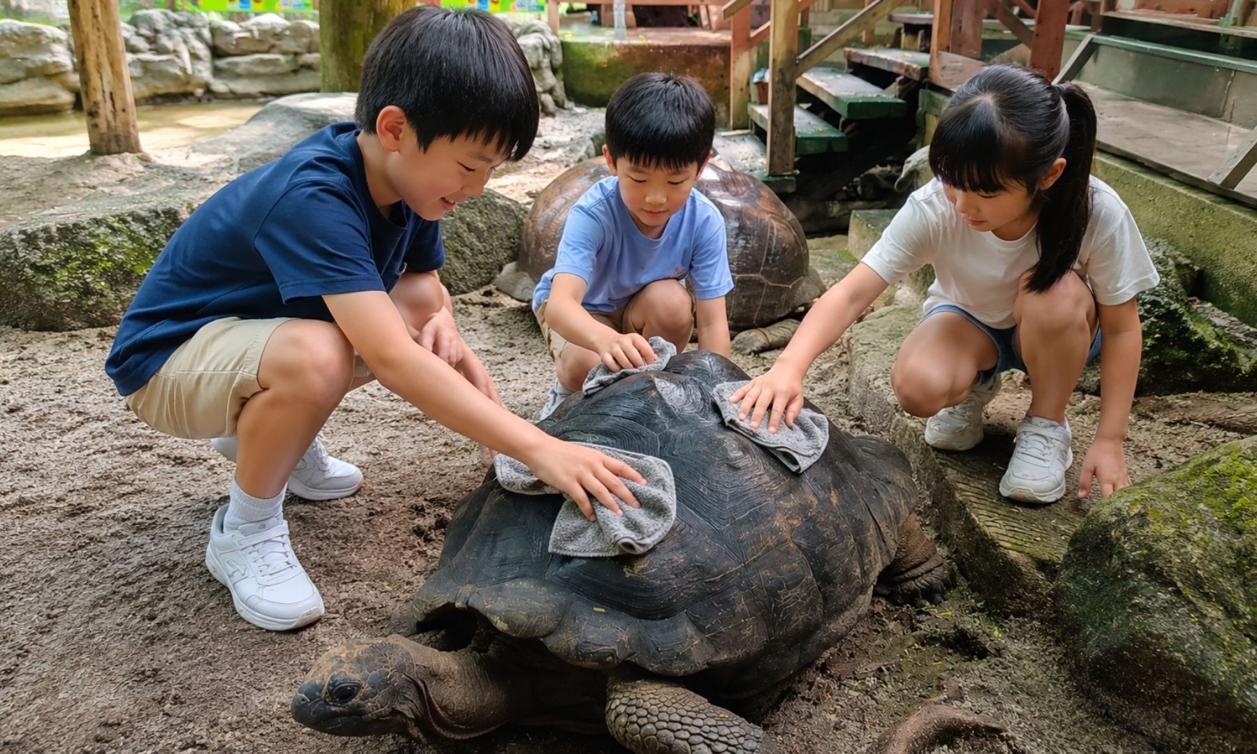 カメの飼育エリアからお世話体験スタート